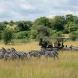 A Safari to Remember in Rwanda