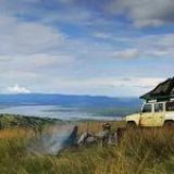 How to Plan a Perfect Safari to Rwanda